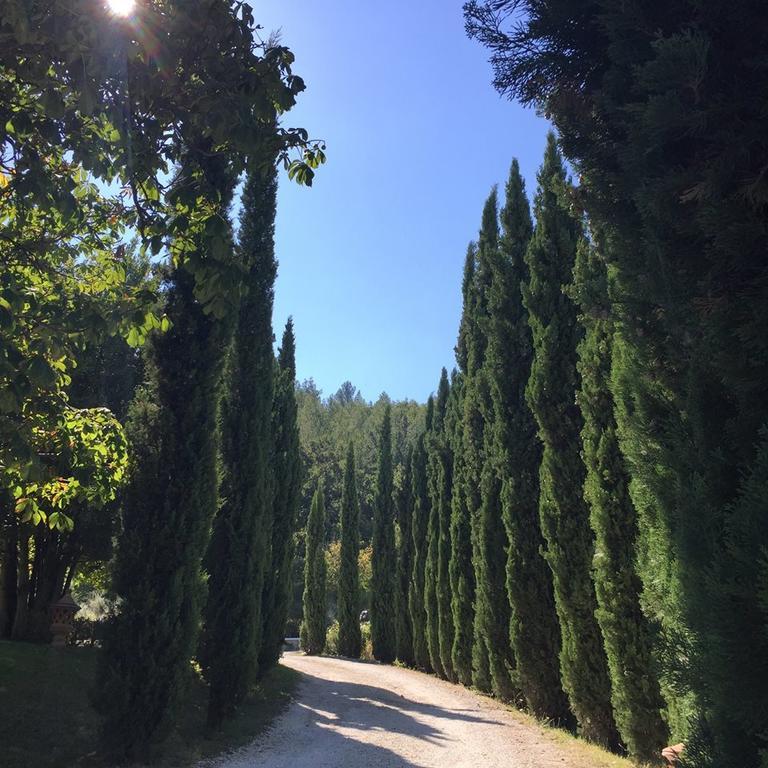 Agriturismo Monastero Di San Biagio Nocera Umbra Zewnętrze zdjęcie