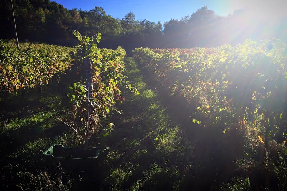 Agriturismo Monastero Di San Biagio Nocera Umbra Zewnętrze zdjęcie